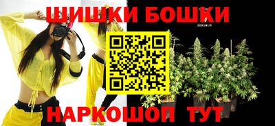стаф Лесосибирск