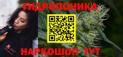 стаф Лесосибирск