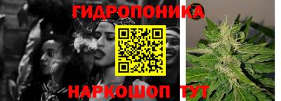 стаф Лесосибирск